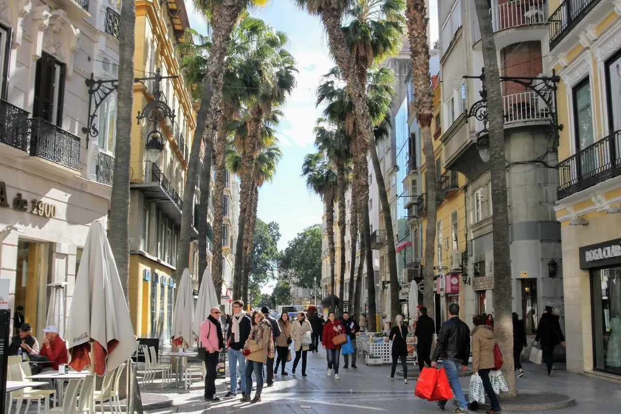 Homely Málaga La Merced Centro 0*,